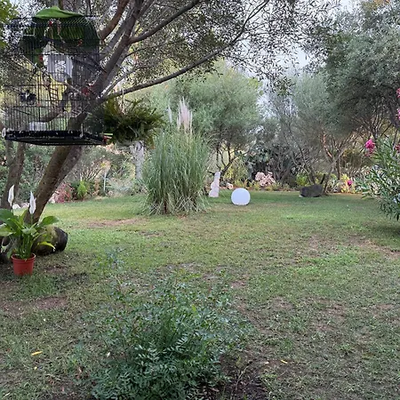 Villa DESIDERIA B&B-2